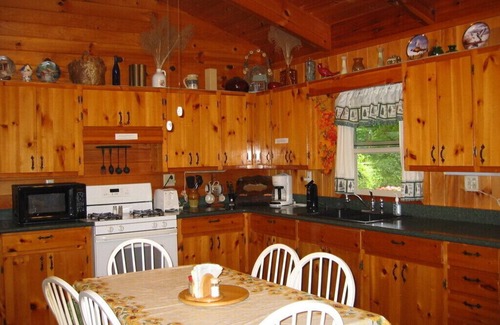Suches Cabin | Pet-Friendly Toccoa Riverfront Cabin with Scenic Views