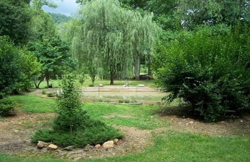 Suches Cabin | Pet-Friendly Toccoa Riverfront Cabin with Scenic Views