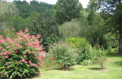 Suches Cabin | Pet-Friendly Toccoa Riverfront Cabin with Scenic Views