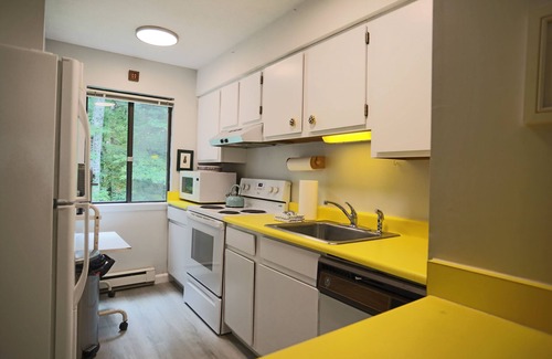 Waterville Valley Condo | Pet Friendly Condo at Family-Focused Waterville Valley Resort
