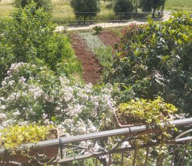 Lenola Bed & Breakfast | Petalo Rosso B&B - Guest Rated 9.3 with Family-Friendly Amenities