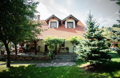 Seica Mare House | Experience Fun at Petershaus with Oceanfront Amenities