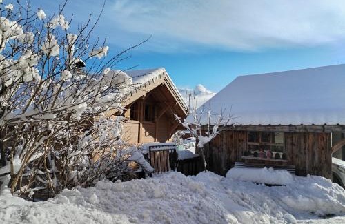 Essert-Romand House | Welcoming Petit Chalet: Family-Friendly Getaway Awaits