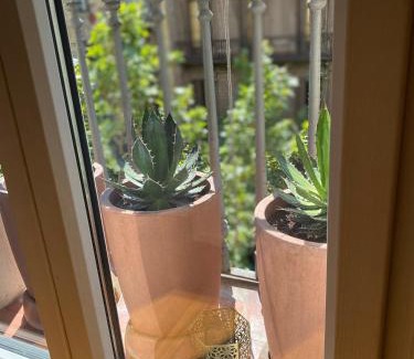 Eixample Apartment | Exceptional Stay at Petit Rosselló - Guest Rated 9.8/10