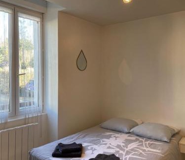 Salies-de-Bearn Apartment | Petit studio avec parking, très bien équipé proche des Thermes et du centre ville Nouvelle literie