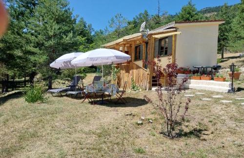 Saint-Auban House | Guest Rated: 9.8 - Cozy Studio with Oceanfront Views