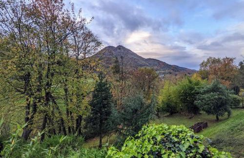Campan House | Cozy Mountain Escape - Pet and Child Friendly Retreat