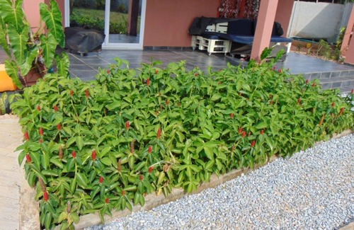 Ouidah House | Cozy Independent Retreat for Families in Ouidah