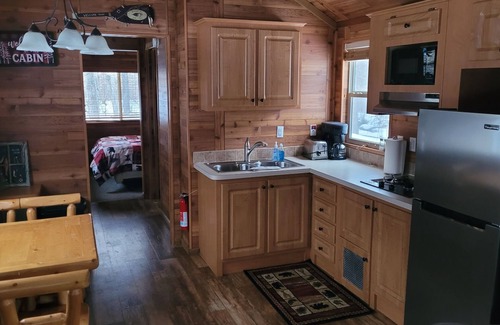 Petoskey Cabin | Secluded Petoskey Cabin with Kitchen & Family-Friendly Amenities