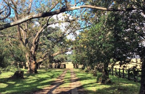 Vryheid House | Cozy Petra's Country Guesthouse with Family-Friendly Amenities