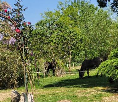 Sistels Bed & Breakfast | Pet-Friendly Oceanfront Retreat at Pey Sud Gaua