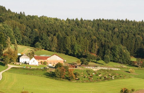 Ampflwang im Hausruckwald House | Pet-Friendly Retreat at Pferdehof Koaser Minerl - Rated 9/10