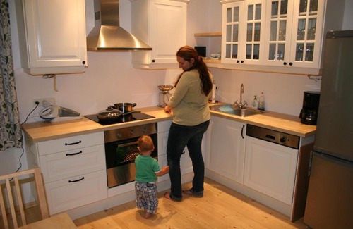 Ampflwang im Hausruckwald House | Pet-Friendly Retreat at Pferdehof Koaser Minerl - Rated 9/10