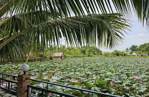 Tan Phu Cabin | Phú Điền Homestay