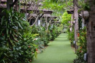 Baan Tai Resort | Experience Phangan Bayshore Resort with Oceanfront Views