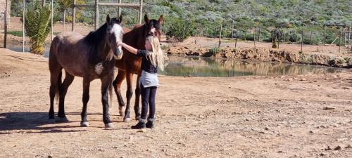 Langeberg Apartment | Discover Phumelela Private Game Farm - Child Friendly Retreat