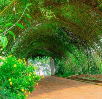 Gia Nghia House | Inviting Phuong Nam Gia Trang Farmstay: Pet-Friendly Getaway