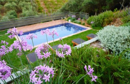 Agia Villa | Experience Physis Villas Chania: Oceanfront Bliss and Spa
