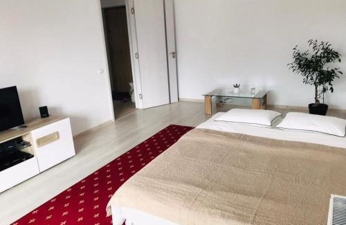 Zarnesti Apartment | Guest Rated 9.5: Piatra Craiului Residence in Zărnești