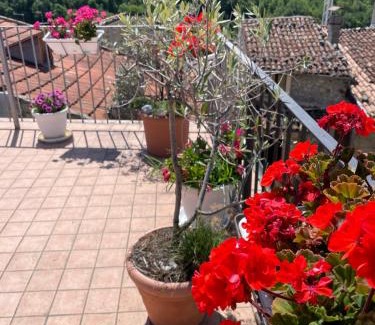 Assergi Apartment | Cozy Piazzetta Del Forno Monolocale with Breakfast & Pets