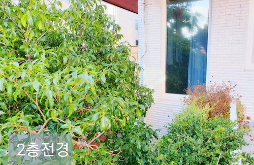 Mokpo House | Discover Picasso Guesthouse: Family-Friendly Retreat