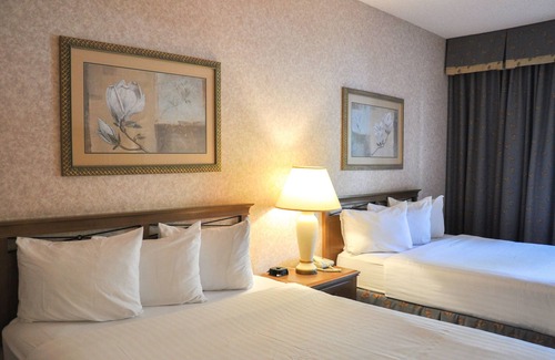 Raisin Hotel | Discover Piccadilly Inn Airport: Pool, Spa & Family-Friendly