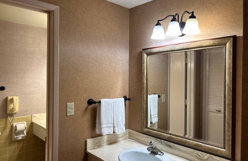 Raisin Hotel | Discover Piccadilly Inn Airport: Pool, Spa & Family-Friendly