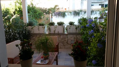 Procida Bed & Breakfast | Exceptional Oceanfront Stay at Piccolo Bed with Breakfast