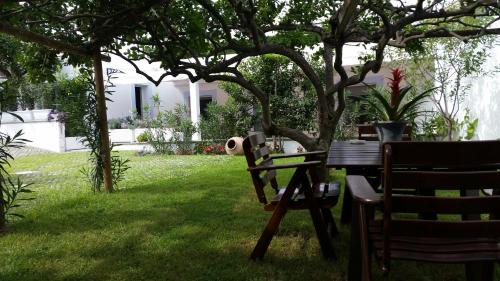 Procida Bed & Breakfast | Exceptional Oceanfront Stay at Piccolo Bed with Breakfast