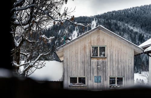 La Villa Ski Chalet | Discover Picenin 61 Lodging: Pet-Friendly with Spa Access