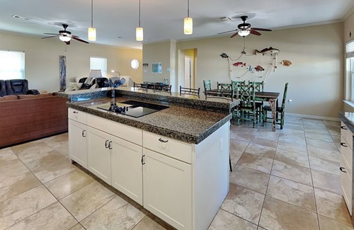 Palm Harbor House | Discover Pickled Pirate: Pet Friendly & Kayak Adventures Await!