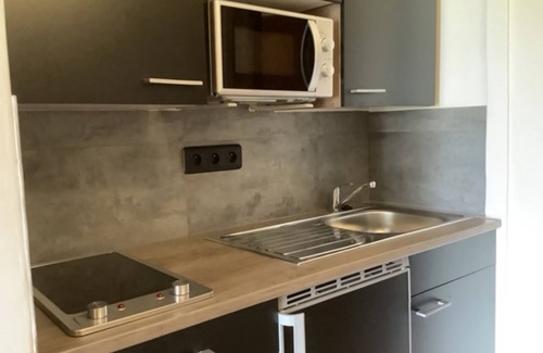 Tarcu Apartment | Discover Pieds dans l'eau Secret Creek for Unforgettable Stays
