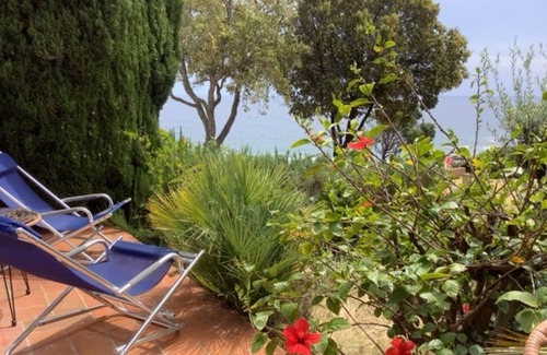Tarcu Apartment | Discover Pieds dans l'eau Secret Creek for Unforgettable Stays