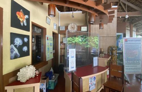 Mabini Resort | Discover Pier Uno Dive Resort: Family-Friendly Retreat