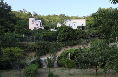 Pucara Bed & Breakfast | Pietra Rosa: Guest Rated 10/10, Pet & Child Friendly Stay