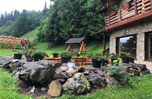 Pojorita House | Pietrele Doamnei