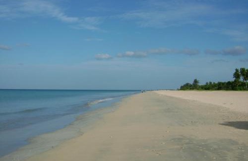 Irrakkakandi Resort | Pigeon Island Beach Resort: Relax by the Oceanfront Pool