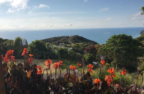 New Lynn House | Cozy Piha Tiny House with Ocean Views and Pet-Friendly Stay