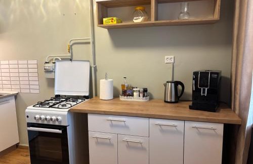 Tartu Apartment | Pet-Friendly Pikk Street Apartment with Private Beach Access