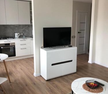 Panevezys Apartment | Guest Rated 10/10: Pilėnų Apartamentai with Pet-Friendly Perks
