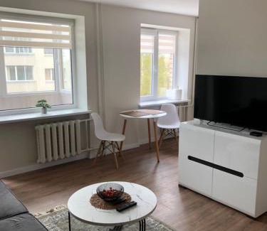 Panevezys Apartment | Guest Rated 10/10: Pilėnų Apartamentai with Pet-Friendly Perks