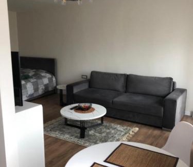 Panevezys Apartment | Guest Rated 10/10: Pilėnų Apartamentai with Pet-Friendly Perks