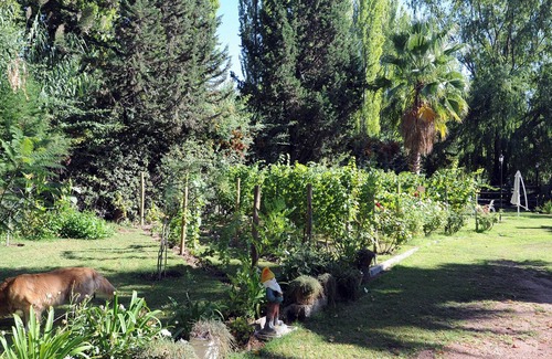 Chacras de Coria House | Relax at Pilgrim's Rest: 4-Star Retreat with Pool & Spa