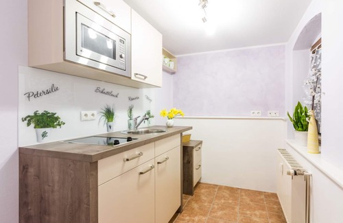 Pillnitz Apartment | Experience Pillnitz Vineyard and Castle Views with Family Amenities