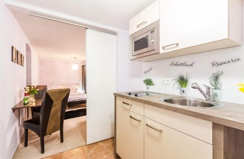 Pillnitz Apartment | Experience Pillnitz Vineyard and Castle Views with Family Amenities