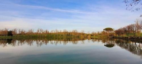 Rabastens Other | pilotis du lac avec SPA privatif
