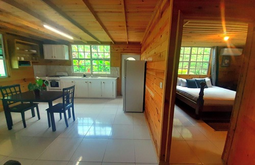 Loubiere Cottage | Relax at Pinard's Mountain Resort - Cottage 7 with Pool & Kitchen