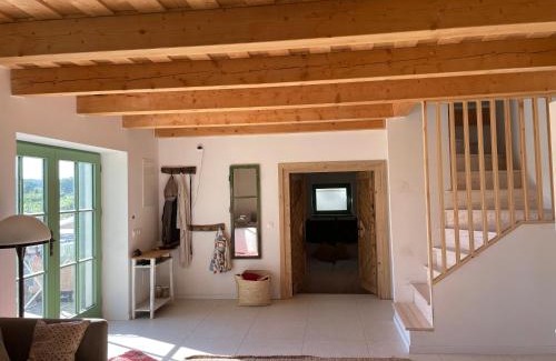 Balatoncsicso House | Pet-Friendly Retreat at Pince a Hegyen - Rated 9.7/10