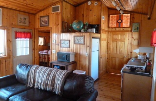 Carbondale Cabin | Idyllic Pine Cabin Retreat Near Carbondale & SIUC Campus