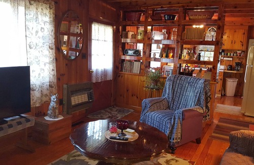 Fort Valley Cabin | Top-Rated Pine Cone Cabin with Pool and Breakfast Included